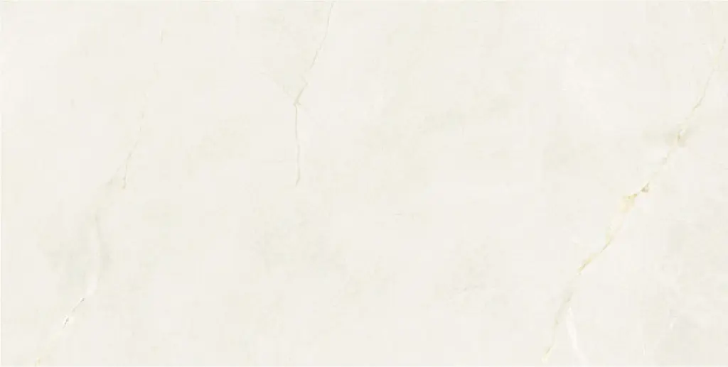 Aldrin Beige 24x48_2.webp
