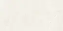 Aldrin Beige 24x48_2.webp