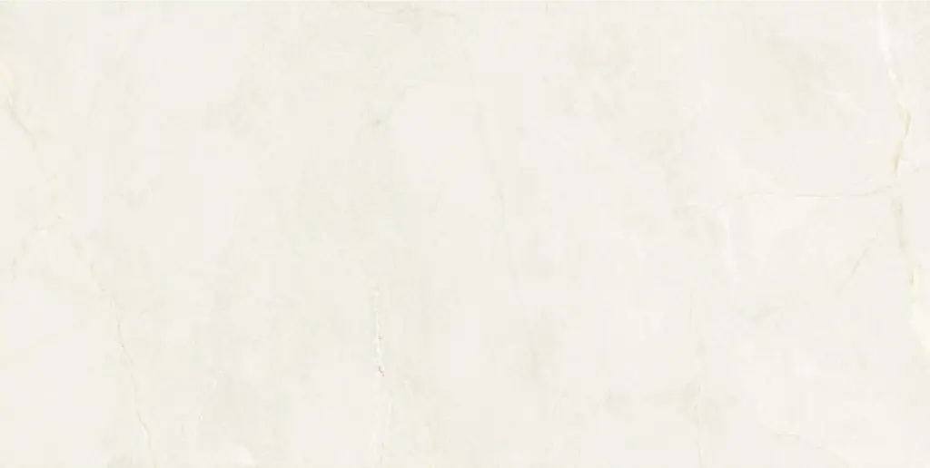Aldrin Beige 24x48_6.webp