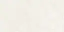 Aldrin Beige 24x48_6.webp