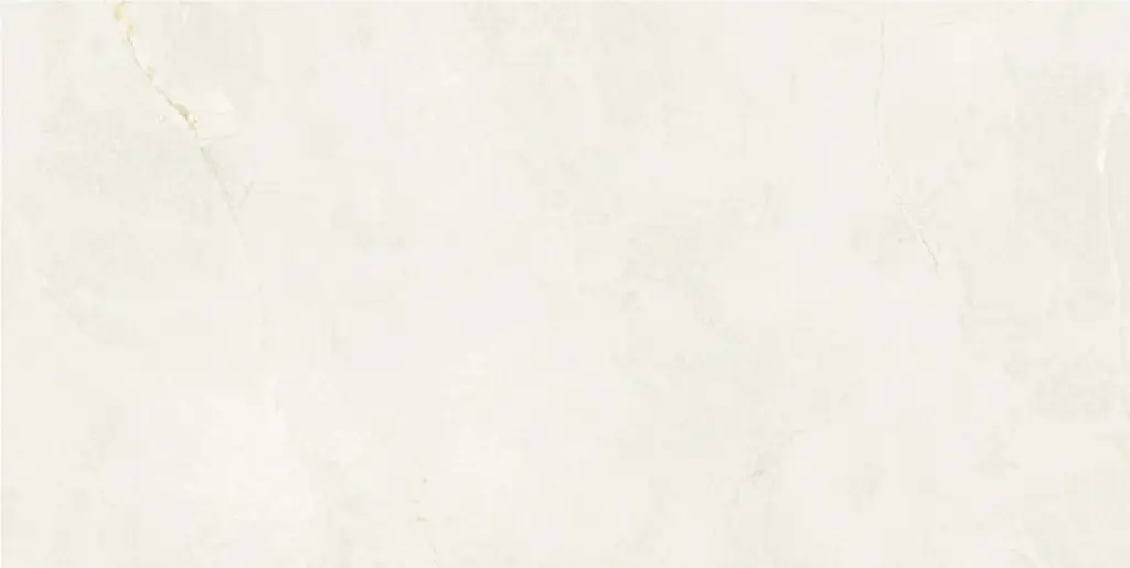 Aldrin Beige 24x48_1.webp