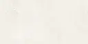 Aldrin Beige 24x48_1.webp