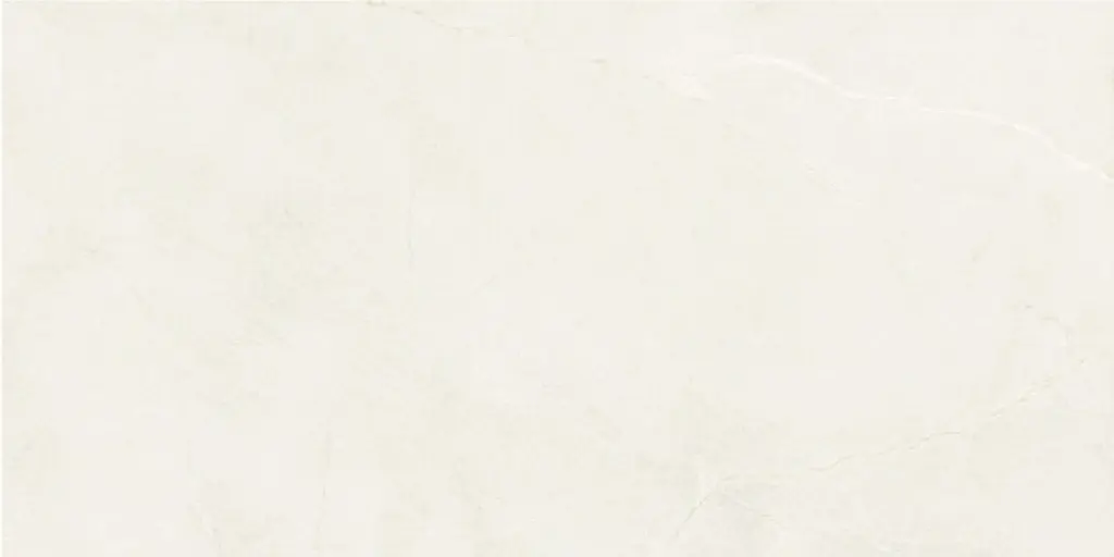 Aldrin Beige 24x48_4.webp