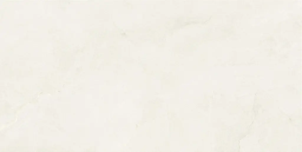 Aldrin Beige 24x48_3.webp