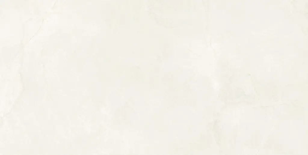 Aldrin Beige 24x48_5.webp