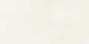 Aldrin Beige 24x48_5.webp