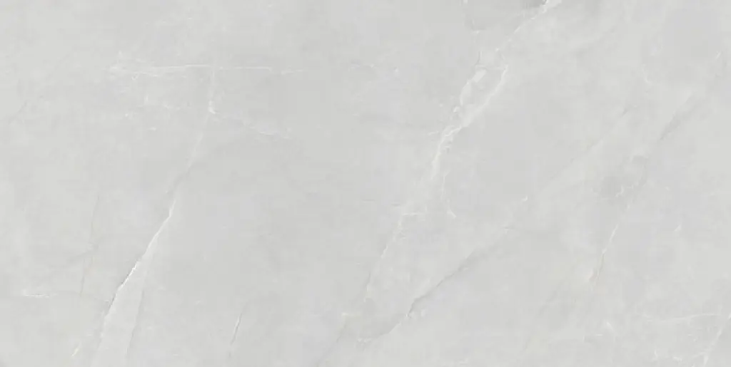 Aelsia Gris 24x48_4.webp