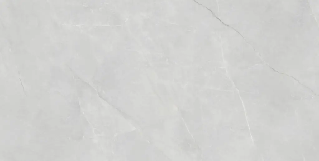 Aelsia Gris 24x48_1.webp