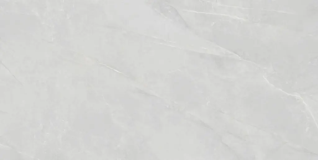 Aelsia Gris 24x48_2.webp