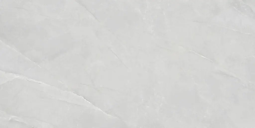 Aelsia Gris 24x48_6.webp