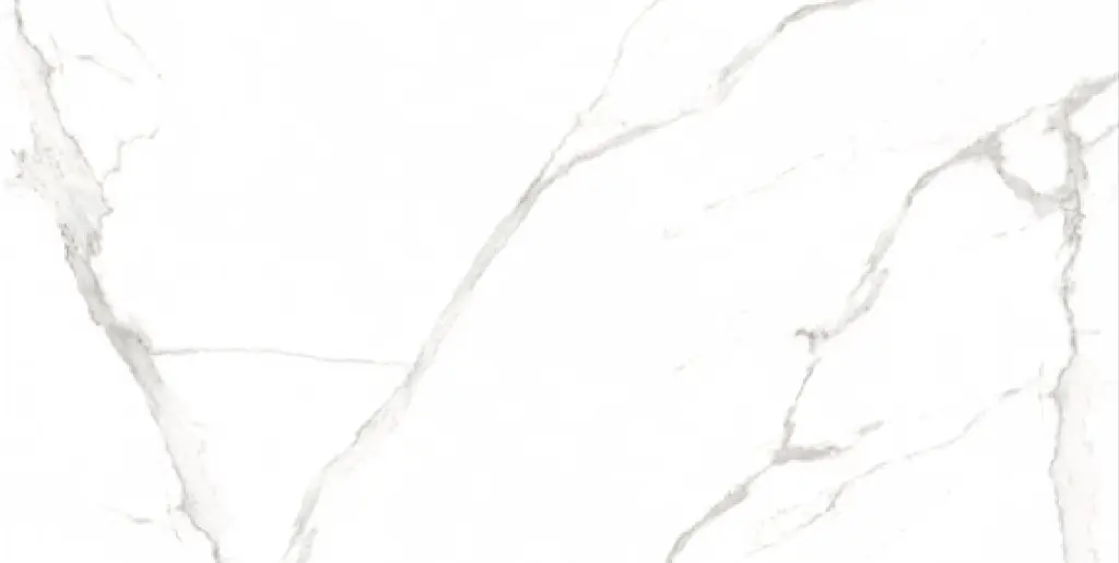 Alvino White 24x48_1.webp