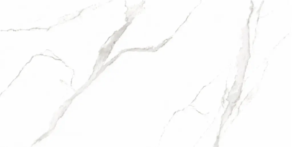 Alvino White 24x48_4.webp