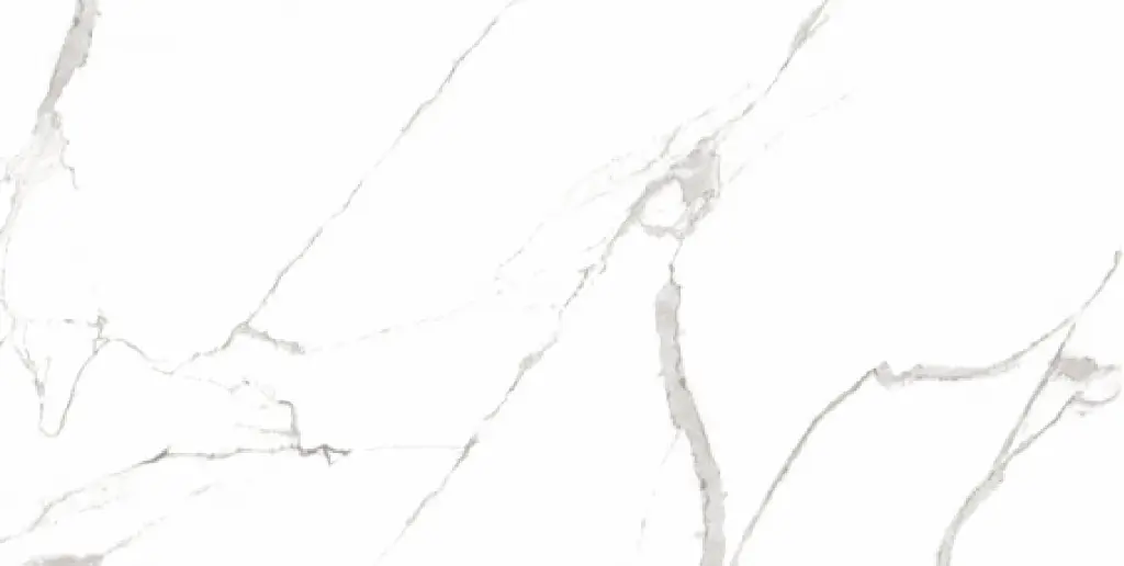 Alvino White 24x48_5.webp