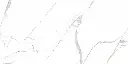 Alvino White 24x48_5.webp