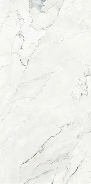 Camus Bianco 24x48_3.webp