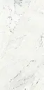 Camus Bianco 24x48_3.webp