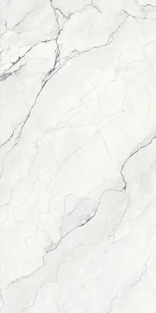 Camus Bianco 24x48_6.webp