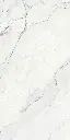 Camus Bianco 24x48_6.webp