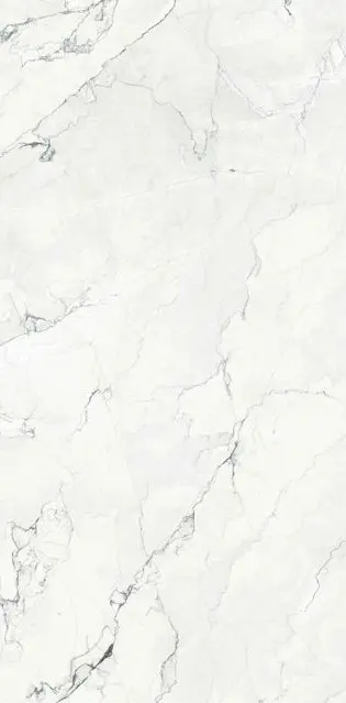 Camus Bianco 24x48_2.webp