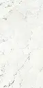 Camus Bianco 24x48_2.webp