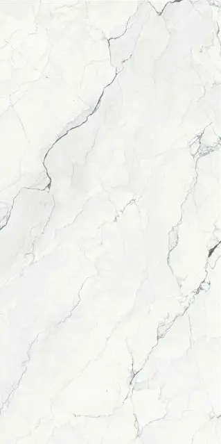 Camus Bianco 24x48_4.webp