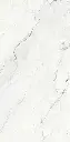 Camus Bianco 24x48_4.webp