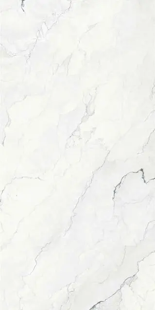 Camus Bianco 24x48_5.webp