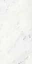 Camus Bianco 24x48_5.webp