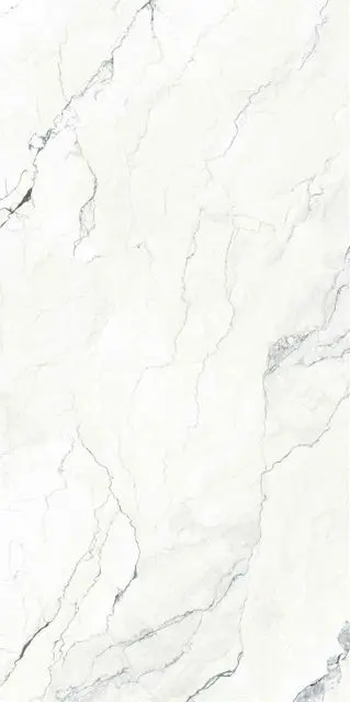Camus Bianco 24x48_1.webp