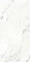 Camus Bianco 24x48_1.webp