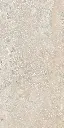 SAVOY-RAPOLANO-BEIGE-24X48-F1.webp