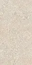 SAVOY-RAPOLANO-BEIGE-24X48-F2.webp