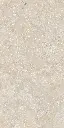 SAVOY-RAPOLANO-BEIGE-24X48-F3.webp