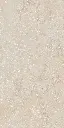 SAVOY-RAPOLANO-BEIGE-24X48-F4.webp