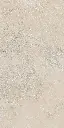 SAVOY-RAPOLANO-BEIGE-24X48-F8.webp