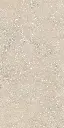 SAVOY-RAPOLANO-BEIGE-24X48-F6.webp