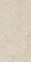 SAVOY-RAPOLANO-BEIGE-24X48-F5.webp