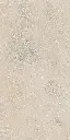 SAVOY-RAPOLANO-BEIGE-24X48-F7.webp