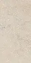 SAVOY-RAPOLANO-BEIGE-24X48-F9.webp