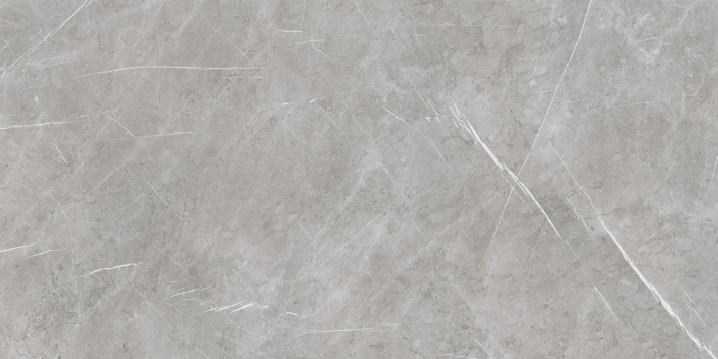 Aran Grey Polished 24X48