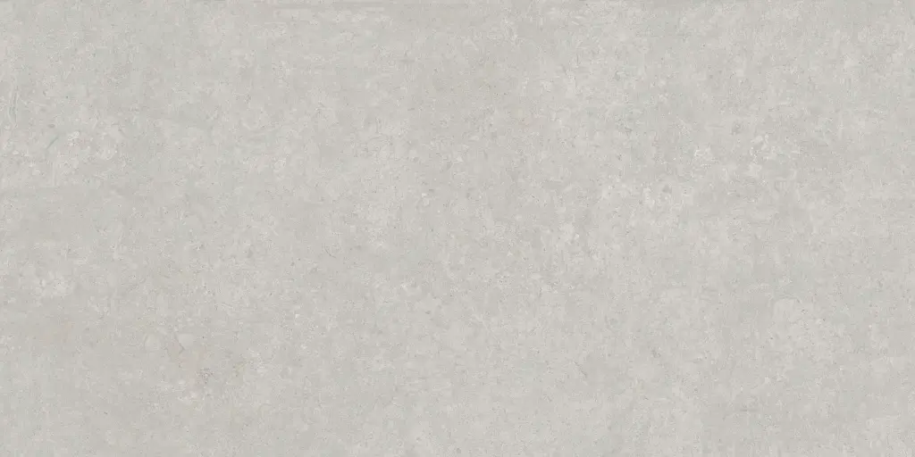 SAVOY-FIORITO-GRAY-24X48-F7.webp