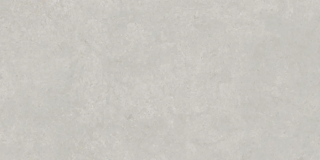 SAVOY-FIORITO-GRAY-24X48-F6.webp