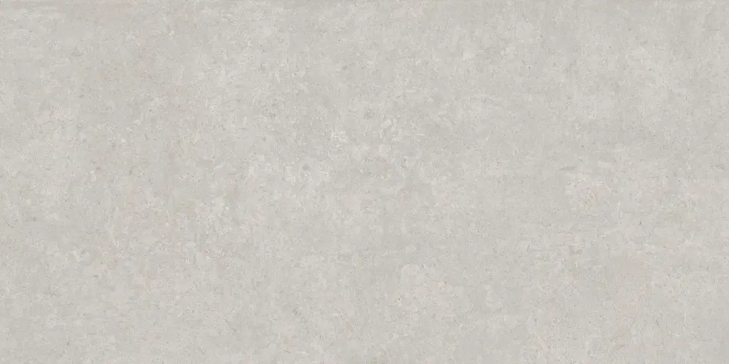 SAVOY-FIORITO-GRAY-24X48-F2.webp