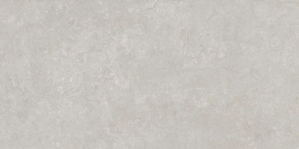 SAVOY-FIORITO-GRAY-24X48-F1.webp