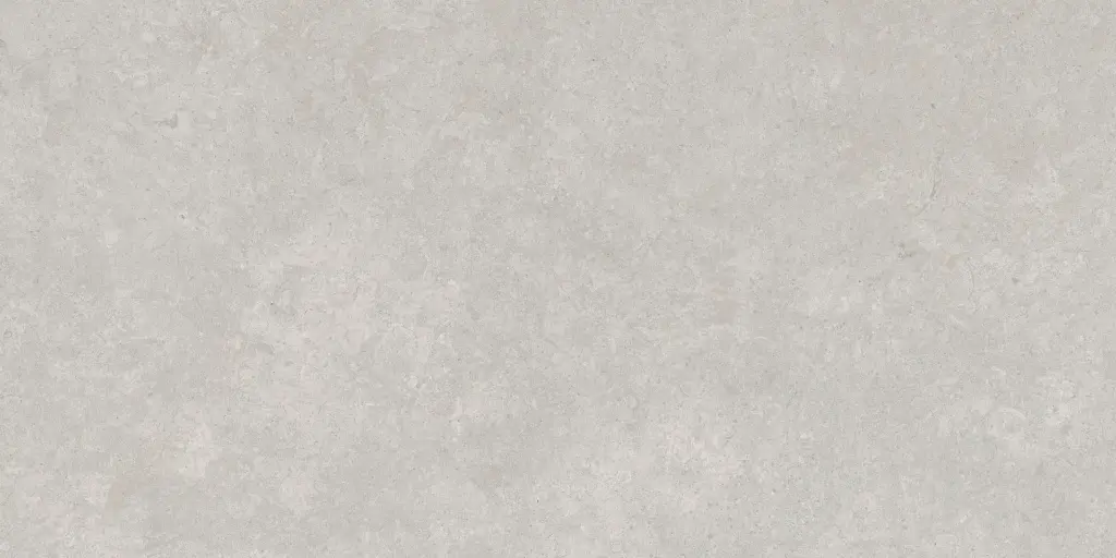 SAVOY-FIORITO-GRAY-24X48-F3.webp