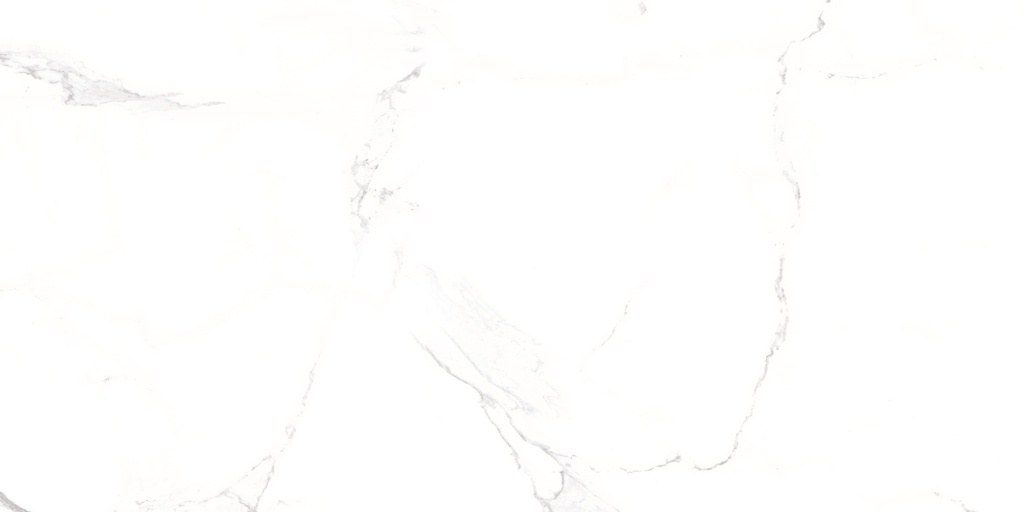 Palatina Blanco Pulido 24X48
