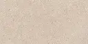 SAVOY-FIORITO-BEIGE-24X48-F9.webp
