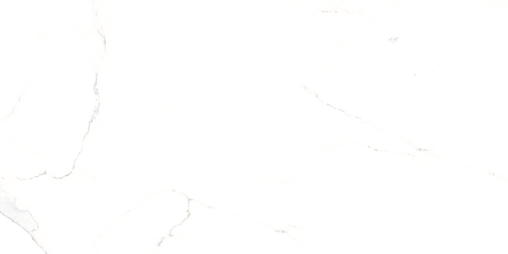 Palatina Blanco Pulido 24X48