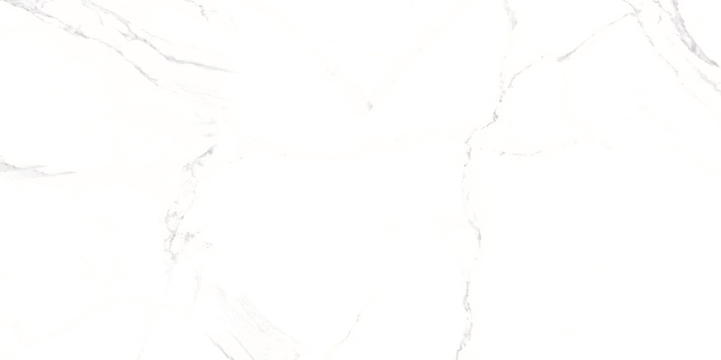 Palatina Blanco Pulido 24X48