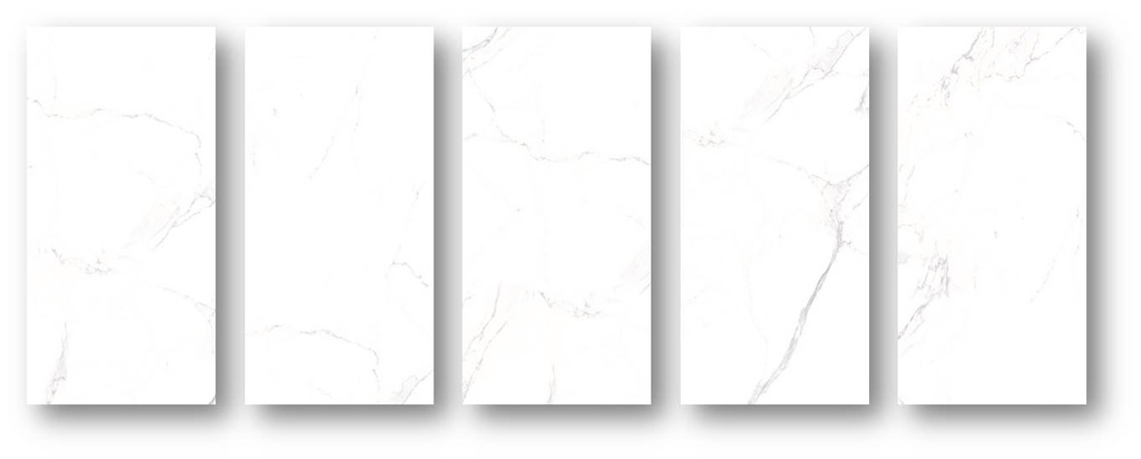 Palatina Blanco Pulido 24X48